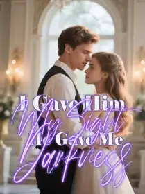 I Gave Him My Sight, He Gave Me Darkness Novel Cover
