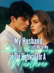 My Husband Left Me in My Late Pregnancy on The Highway For A Murderer Novel Cover
