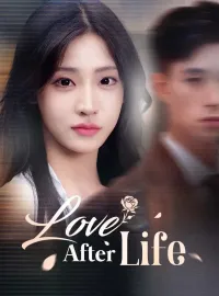 Love After LifeMini Series