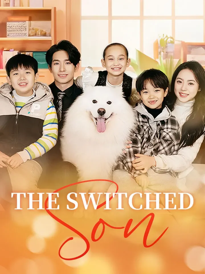 The Switched SonMini Series