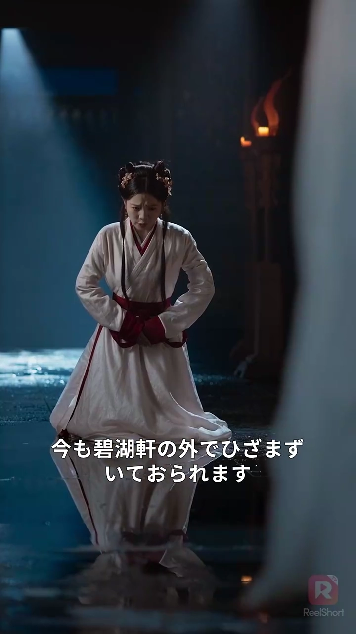 冷たい将軍と偽りの花嫁写真