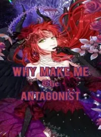 Sampul Novel Why Make Me The Antagonist?