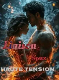 Couverture du roman Liaison sous haute tension
