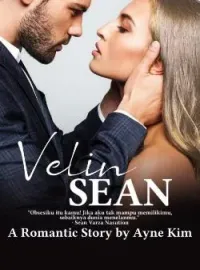 Sampul Novel VELIN SEAN