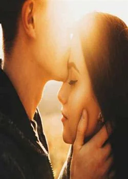 Capa do romance O AMOR QUE VOCÊ NÃO QUIS