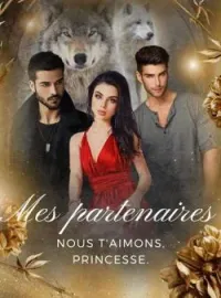 Couverture du roman Mes partenaires.