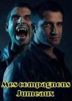 Couverture du roman Mes compagnons Jumeaux