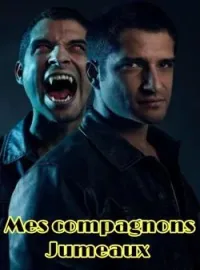 Couverture du roman Mes compagnons Jumeaux