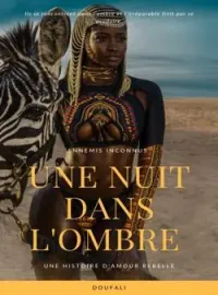 Couverture du roman Une Nuit dans l'Ombre