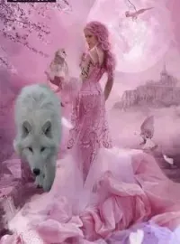 Capa do romance Transformada 