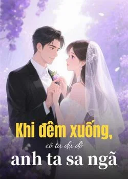 Bìa tiểu thuyết Khi đêm xuống, cô ta dụ dỗ anh ta sa ngã