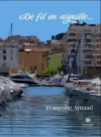 Couverture du roman De fil en aiguille...
