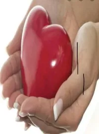 Couverture du roman Rissa et l’amour