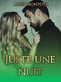 Couverture du roman Juste une nuit