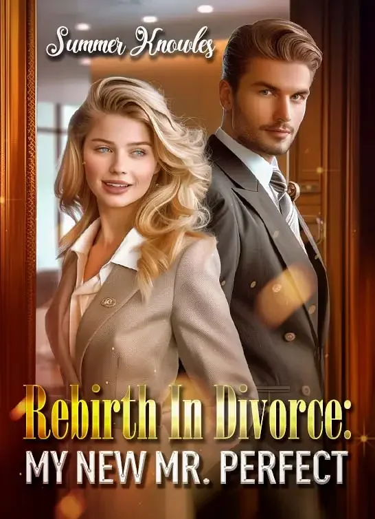 Rebirth In Divorce: My New Mr. Perfect Novel Cover