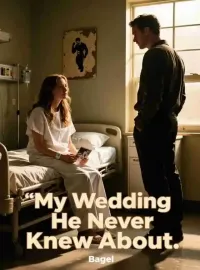 My Wedding He Never Knew About Novel Cover