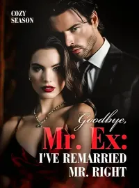 Goodbye, Mr. Ex: I've Remarried Mr. Right Novel Cover