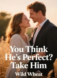 You Think He's Perfect? Take Him Novel Cover