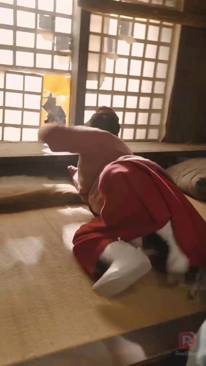 新時空の料理妻写真