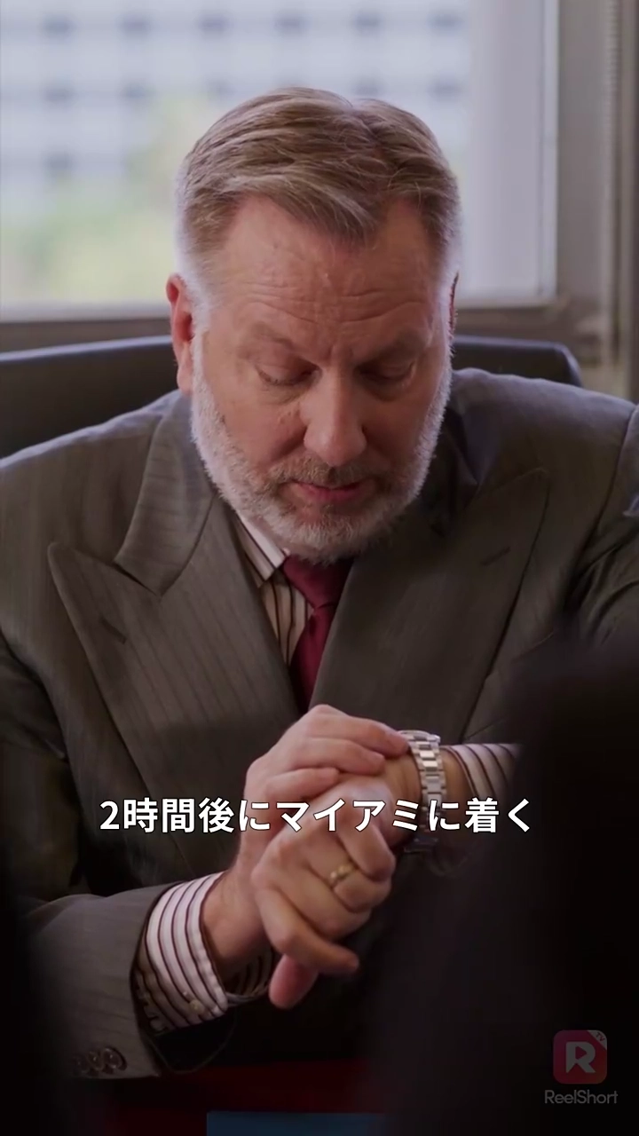 [吹き替え] 地上3万フィート命のタイムリミット写真