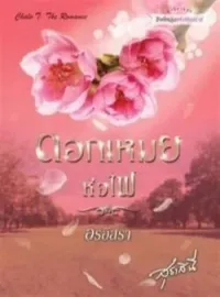หน้าปกนวนิยาย ดอกเหมยห่อไฟ