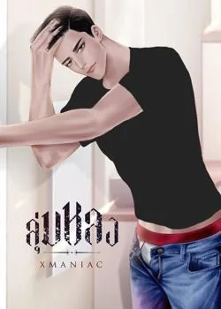 ภาพปกนิยายเรื่อง ลุ่มหลง