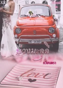 ภาพปกนิยายเรื่อง บ่วงมะลุลี