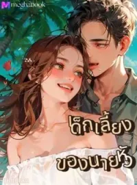 หน้าปกนวนิยาย เด็กเลี้ยงของนายหัว