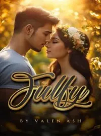 Sampul Novel Fulfi
