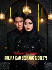 Sampul Novel Pertemuan Tak Terduga: Kukira Kau Seorang Gigolo?!