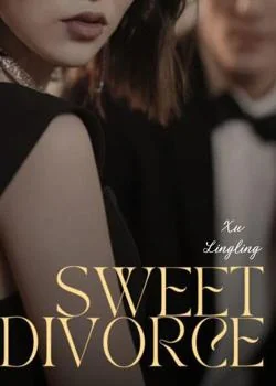Sampul Novel Sweet Divorce