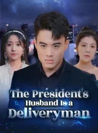The President’s Husband Is a DeliverymanMini Series