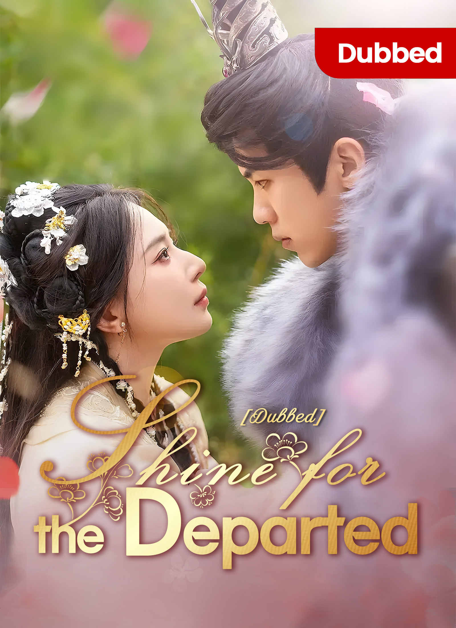 [Dubbed] Shine for the Departed Mini Series