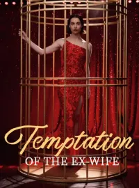 Temptation of the Ex-WifeMini Series