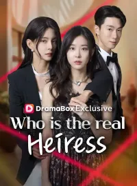 Who is the real heiress? (DUBBED)