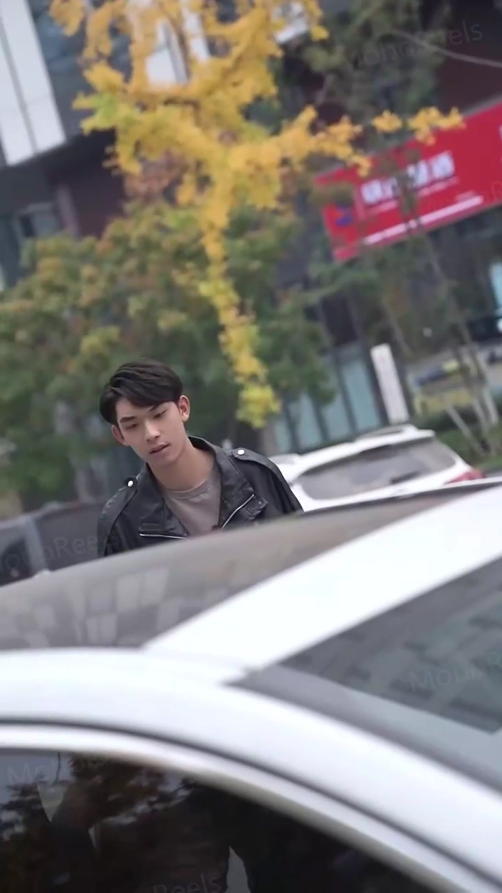 Maître de la chasse au trésorPhoto