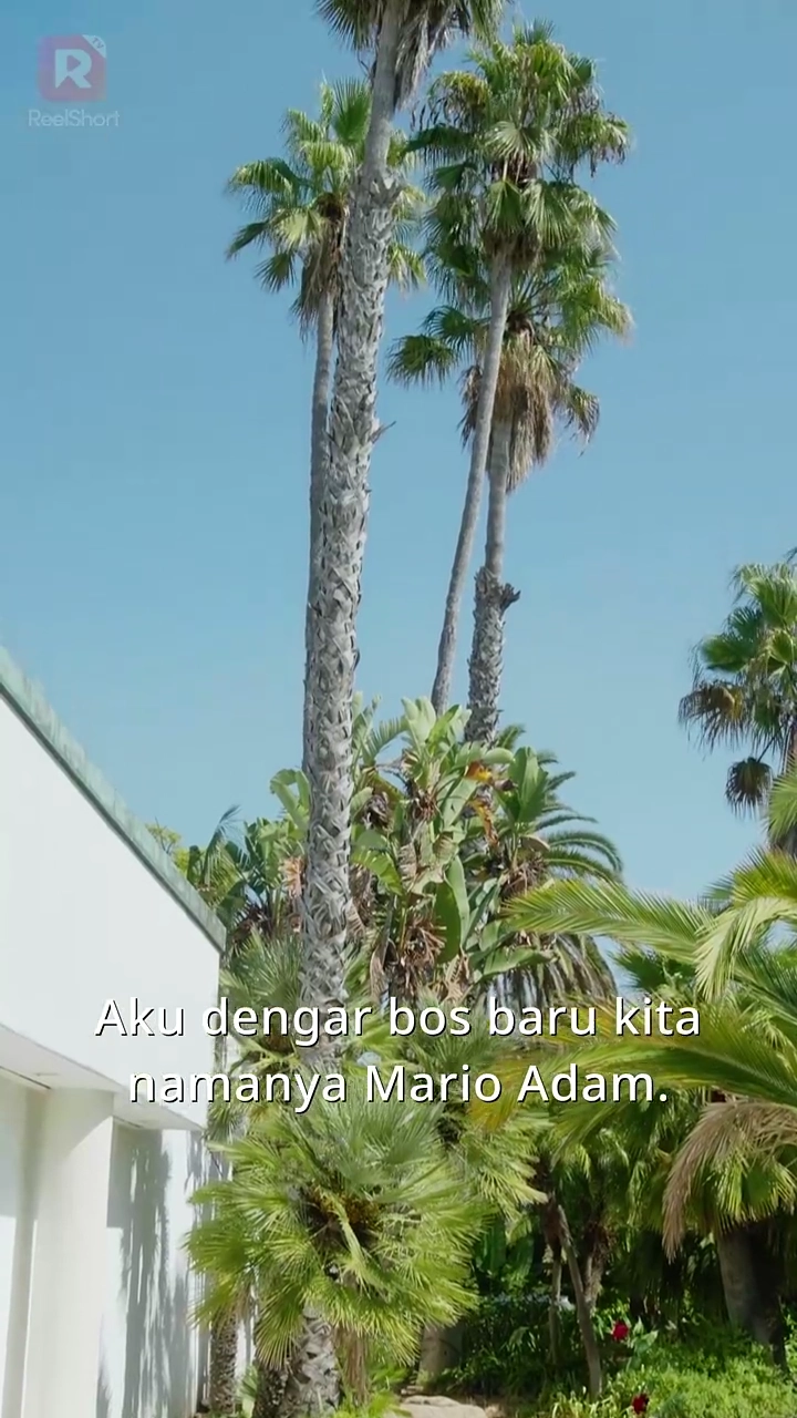 Pernikahan Misterius Susterfoto