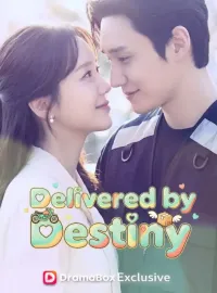 Delivered by Destiny (DUBBED)Mini Series