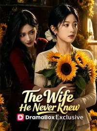 The Wife He Never KnewShort Dramas