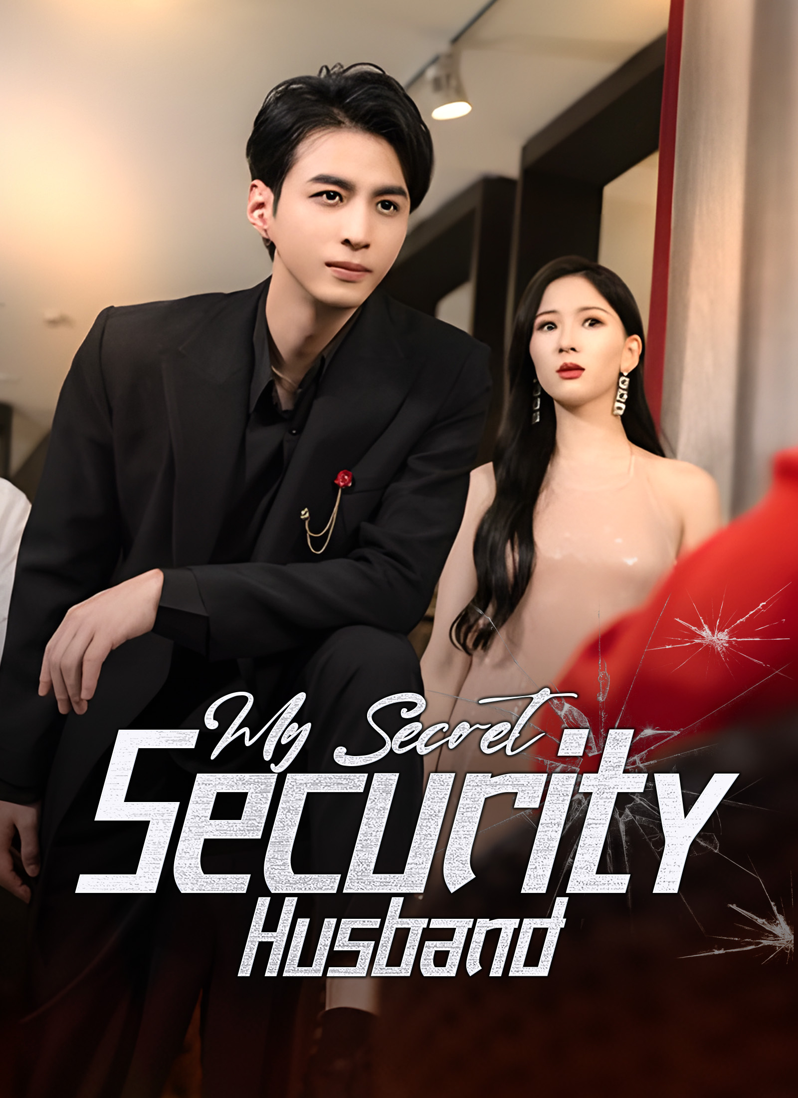 My Secret Security Husband Mini Series