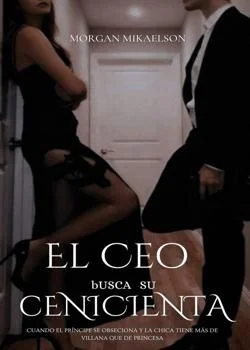 Portada de la novela El Ceo busca su Cenicienta