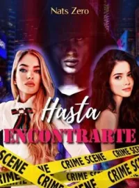 Portada de la novela Hasta encontrarte.