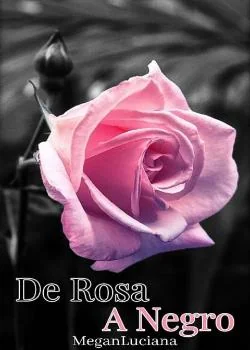 Portada de la novela De Rosa a Negro 