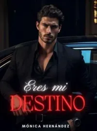 Portada de la novela Eres Mi Destino