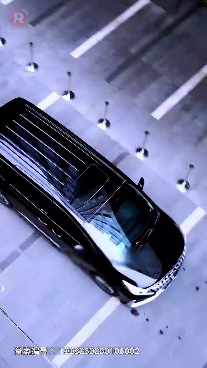 リボーン～あの舞台へもう一度～写真