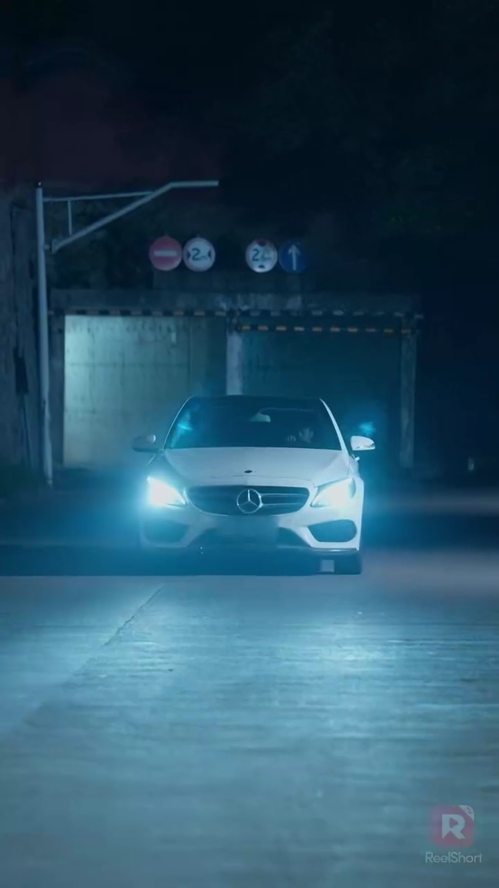 この弁護士、ちょっとヤバい 反逆の弁護士ー良心の代償ー写真