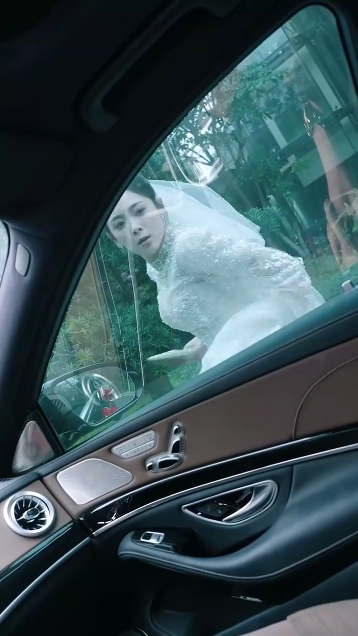 逃げる花嫁と運命の新郎写真