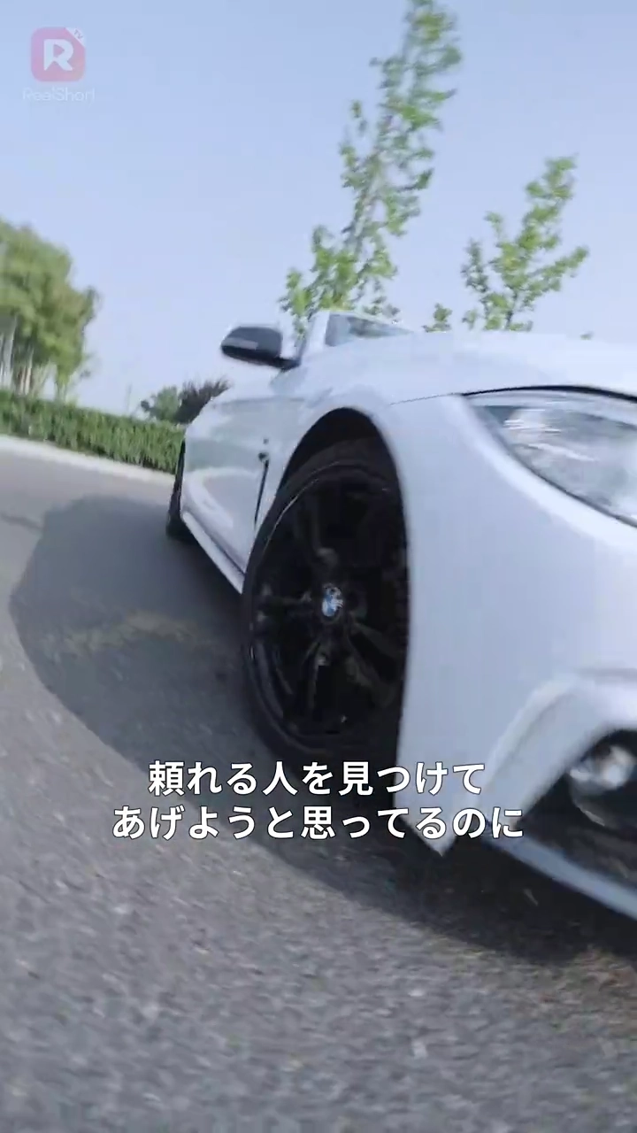 女社長のボディーガード写真