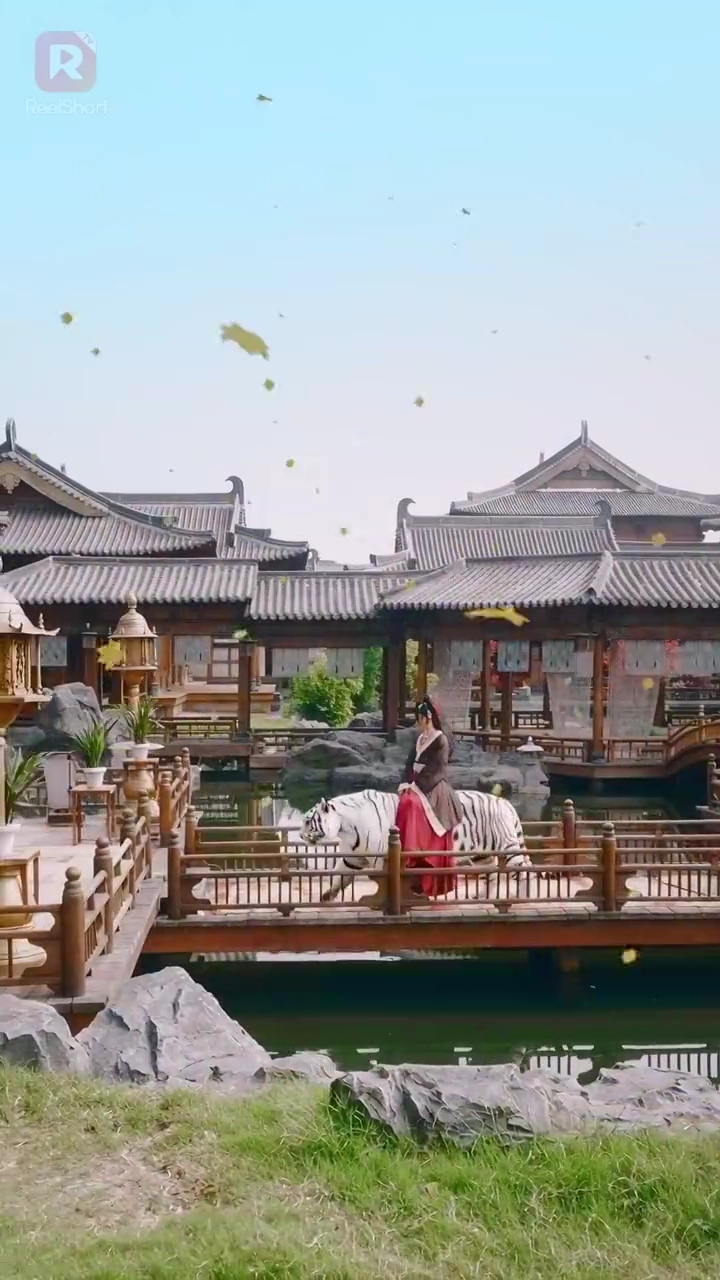 濡れ衣の姫の逆襲写真