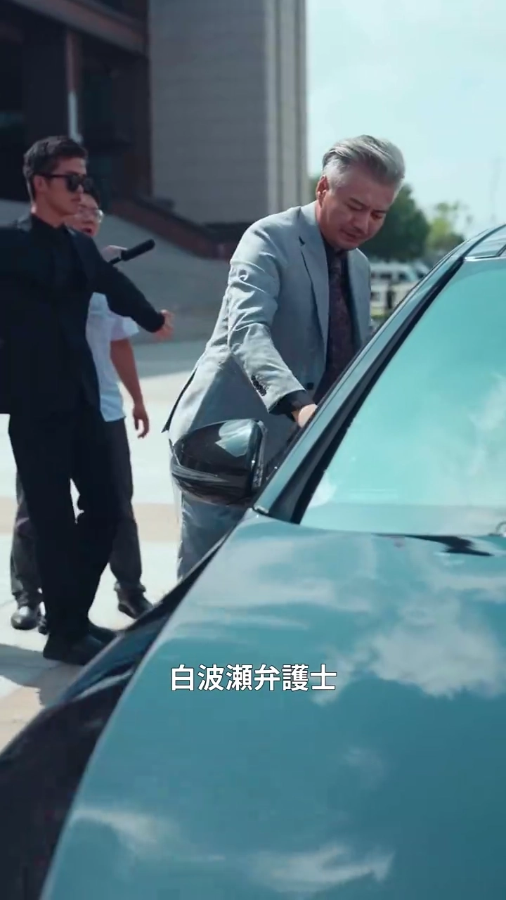 弁護士の逆襲写真